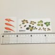 画像3: ★星印商品のみ同梱可★【金魚シール福袋】 ￥550 金魚ステッカーシール福袋 13枚セット 金魚鉢の世界を ハンドメイド 手芸 デコに レジンに 封入 金魚 出目金 (3)