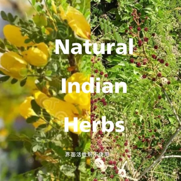 画像2: ★星印商品のみ同梱可★期間限定50％off ★HAZAKURA ★ インドハーブで洗う新感覚 ヘアパックシャンプー インドハーブ ハーブ 植物 国産 シャンプー カラーレスヘナ アワル シカカイ ベントナイト 泡が立たない 高品質 自然派 ナチュラル 植物性 界面活性剤不使用 日本製  (2)