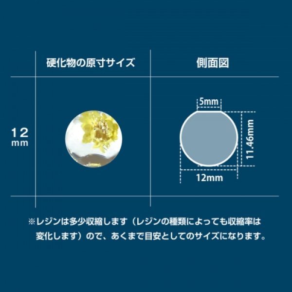 画像3: (sn762304) シリコンモールド 球体 12mm 一体型 ビー玉 星の雫 丸 ボール パジコ PAJIKO レジンに 立体 3D (3)